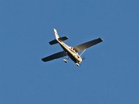 Cessna 205